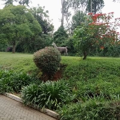 jmwachuya's profile picture. It's never that serious!😉
Cold n Hot.