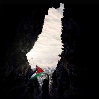 ZAlshanti's profile picture. 🇵🇸👌العزة للاحرار♥️