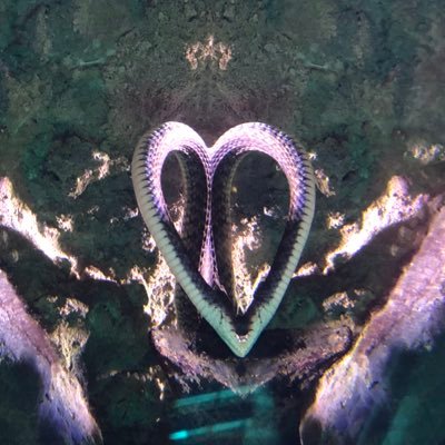 urin_hd's profile picture. うりんだよ〜/KU6th→阪大外語🇨🇳→阪言外M2/お歌好き/我就是我自己的神在我活的地方/カラオケとか誘ってください( ´꒳` )