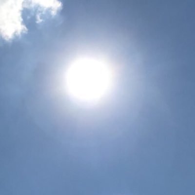 abcdwmjt's profile picture. 