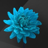 Maion Leehwan (@yudipwp) 's Twitter Profile