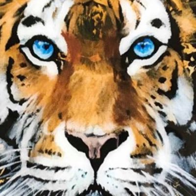 AbbyAbhelakh's profile picture. 