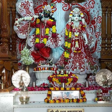 kdagrawal007's profile picture. #CASTUDENT