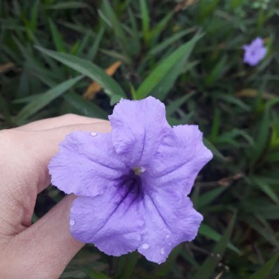 Cendolimpling's profile picture. d R e A m °꿈°