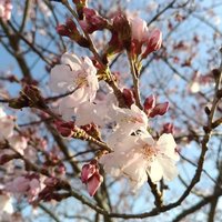 JM2IPI/1 まさ (@jm2ipi) 's Twitter Profile