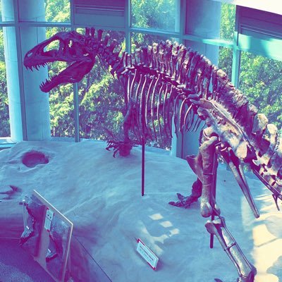 viveladisco's profile picture. 