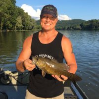 shane palmer (@palmershaner) 's Twitter Profile