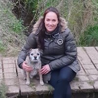 Sally (@sallyswift6) 's Twitter Profile