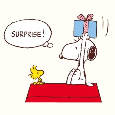 SFwXBMBZtPGj0AK's profile picture. Learn from yesterday. Live for today. Look tomorrow.