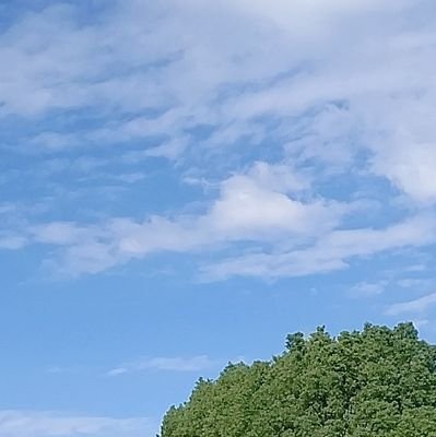 取引専用垢。でもたまに呟く。回収…ヘタリア・ヘタミュ→英(連合) ツイステ→ハーツ・オクタ・ときどきサバナ(友人分含) 成人済 箱推し傾向 最近プロセカも