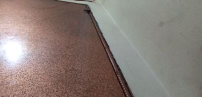 SeeedAb's profile picture. 