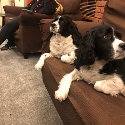 jonathanpenny9's profile picture. 