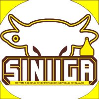 SINIIGA OFICIAL MX (@siniigaof_mx) 's Twitter Profile