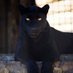 Mr Panthera (@panthera_mr) Twitter profile photo Mr Panthera (@panthera_mr) Twitter profile photo