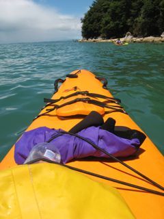 ibnbattutah's profile picture. 