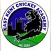 EastKentCricketAcademy (@eastkentcricke1) Twitter profile photo EastKentCricketAcademy (@eastkentcricke1) Twitter profile photo