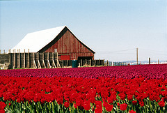 washcascadeloop's profile picture. Explore 440 miles of natural beauty: jagged peaks, sweeping views, beaches, great food and friendly locals! We're the ultimate Washington State Road Trip!