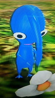 alola7zen728's profile picture. ニコ生やってます
なお最近はディスコードにこもってるもよう
最近のブームはamong us
一緒にやりましょ～