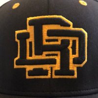 River Dell Softball (@rvrdellsoftball) 's Twitter Profile