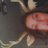 Ashleyjazmyn_'s avatar