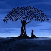 shashitiwary14's profile picture. I am simple