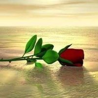 Farah Abbas Rana (@farahabbasrana) 's Twitter Profile