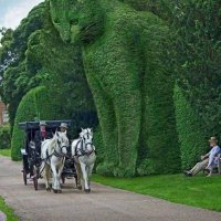 Morris Lance (@lancejase) 's Twitter Profile