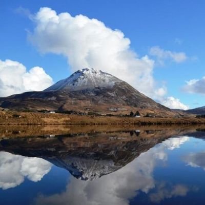 BrendaDavison7's profile picture. 