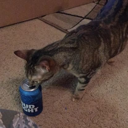 arunxr's profile picture. stay losing sleep #WTD