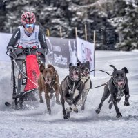 Jorge García Sanz (@jorgeolvega) 's Twitter Profile