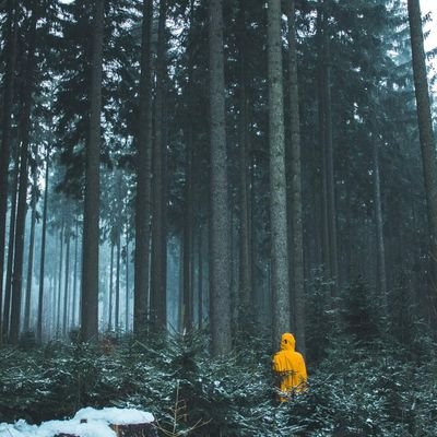 SunderPoetry's profile picture. Sunder Press is an independent online press dedicated to giving voice to those in need of the space to shout into the eternal