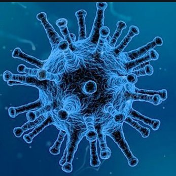 VirusArgentino's profile picture. Sobreviviendo las pandemias en Argentina, el COVID es lo de menos; el peronchokvirus es mas contagioso y si no te mata te deja retardado...
Ex @ArgentoVirus