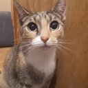 John Bleck - @JohnBleck1 - Twitter