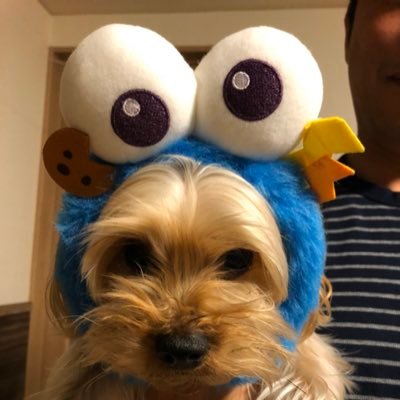 ゆっきー コーナン サンシェードスクリーンで 秘密基テントみたい 目隠し なーんかいい感じ コーナン サンシェード 家キャンプ 日避け ゆっきー コーナン サンシェードスクリーンで 秘密基テントみたい 目隠し なーんかいい感じ コーナン サンシェード 家キャンプ 日避け