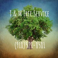 T & M Tree Service(@T_M_TreeService) 's Twitter Profile Photo