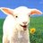 kool_k33t's avatar