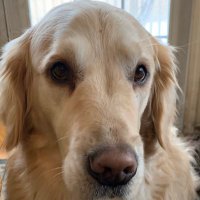 Brady Mr Sunshine (@brady_sunshine) 's Twitter Profile Photo Brady Mr Sunshine (@brady_sunshine) 's Twitter Profile Photo
