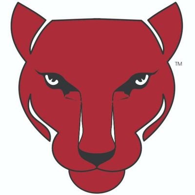 Official page of the Community College of Allegheny County Baseball, Pittsburgh Pa 2024 Region 20 Champions
