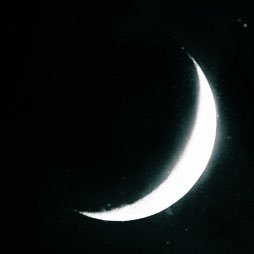 moon daran Profile