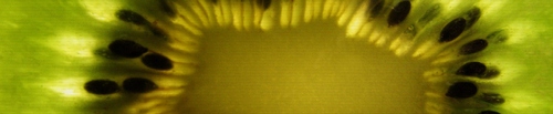drupalwork's profile picture.
