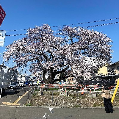 liveleafag's profile picture. 土地・建物・アパート・マンション・戸建・オフィス・店舗 / 売買・仲介・管理・建物バリューアップサポート。