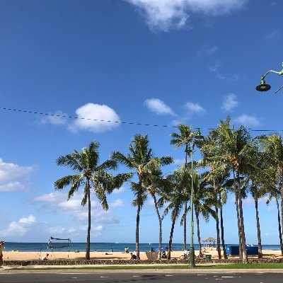 Me9k1ZJ3z6HVkGk's profile picture. 