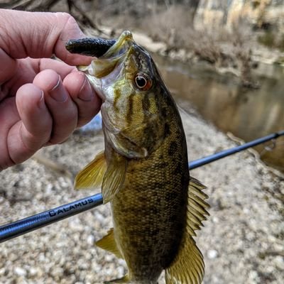 Trout2022's profile picture. Fishing, Gaming, Farming