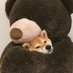 喜欢的人总是万般好 (@uihxcvzpxmtje1e) Twitter profile photo 喜欢的人总是万般好 (@uihxcvzpxmtje1e) Twitter profile photo