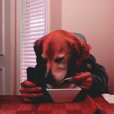 198karu's profile picture. No soy nadie