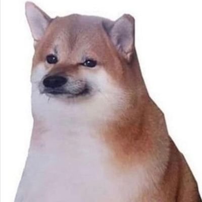 TSnapmap's profile picture. because people can't help posting dumb shit on snapchat
-DM suggestions-