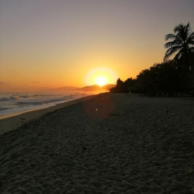 Rguerrrop's profile picture. 