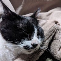 ナナ輔 (@dhhtemhtdjkhkpy) 's Twitter Profile