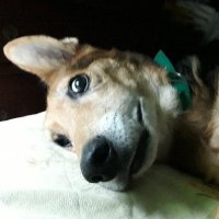 RAQUEL TERESITA MAITA (@raquelmait) 's Twitter Profile Photo RAQUEL TERESITA MAITA (@raquelmait) 's Twitter Profile Photo