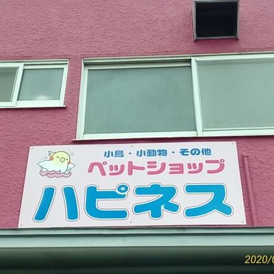 営業時間１０時から18時半まで。
月火水休み。
祝日は営業。
鶴ヶ島ICから車５分。
圏央道鶴ヶ島ICからも近いです。

ハピネスのアメブロテーマ別検索で
今いる動物の検索しやすいです。

tel090-9828-5494です🌸
駐車場🅿️あります😃🐤
https://t.co/0NXFXJYJor…